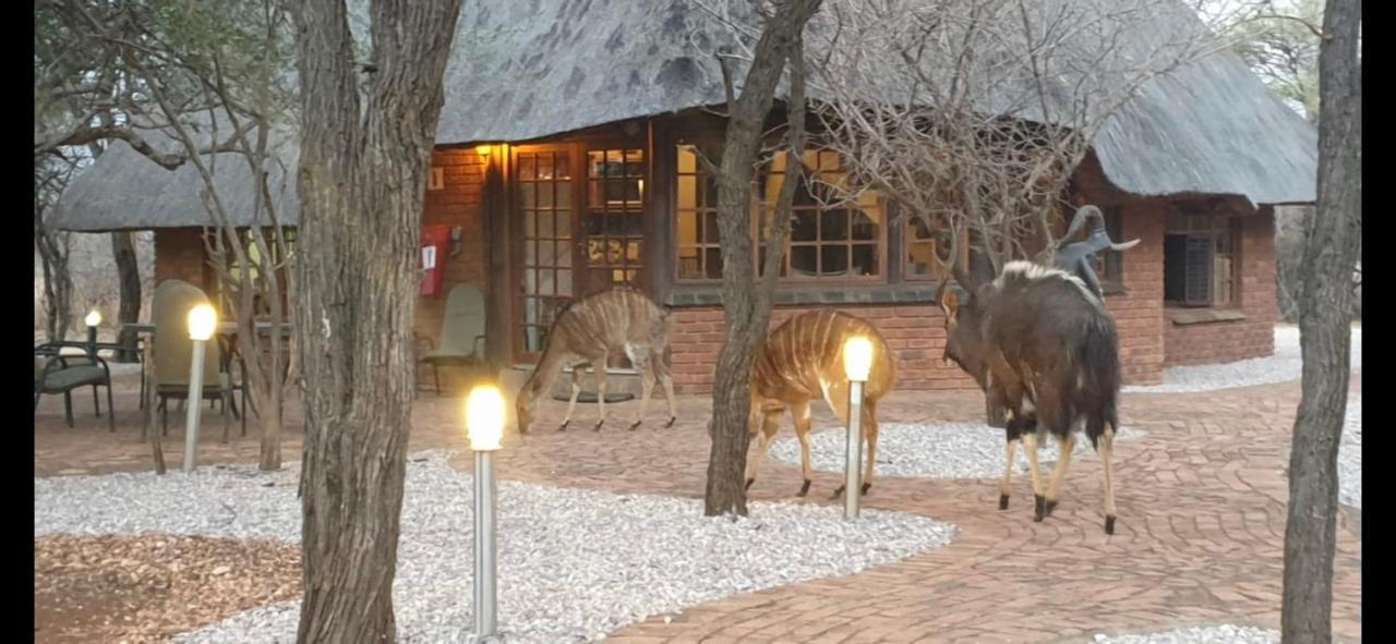 Makhato Bush Lodge 3 Bela-Bela Ngoại thất bức ảnh