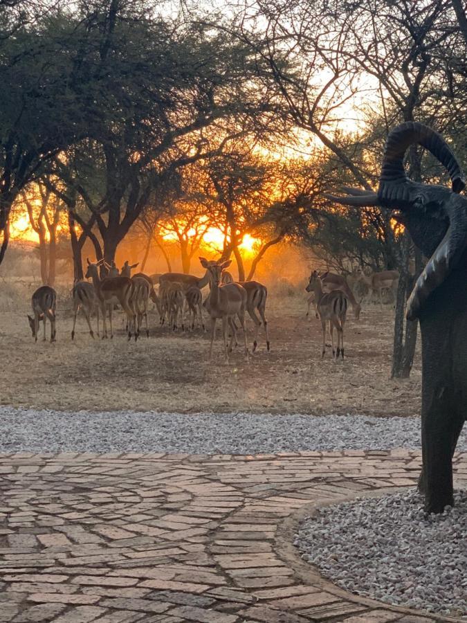 Makhato Bush Lodge 3 Bela-Bela Ngoại thất bức ảnh